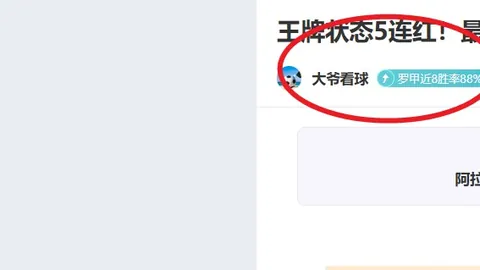 “篮球盛宴：揭秘‘香蕉船四兄弟’的深厚友谊”